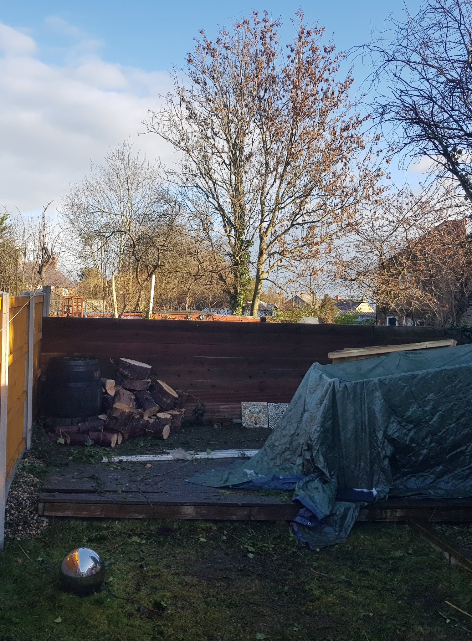 The same garden opened up after the conifers were removed