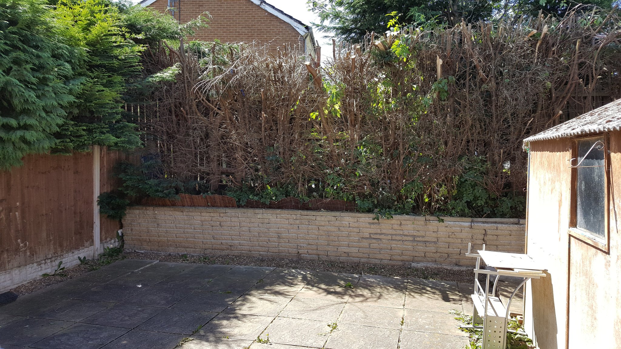 Hedge removed, leaving a tidy yard