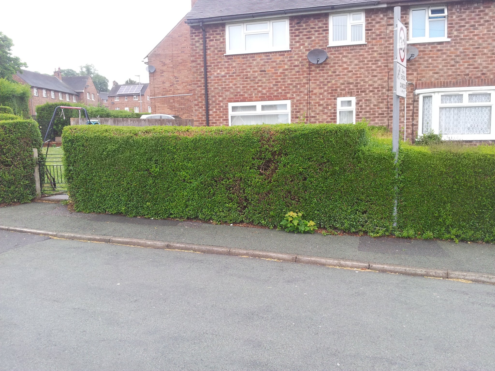 Tall front hedge outside a house