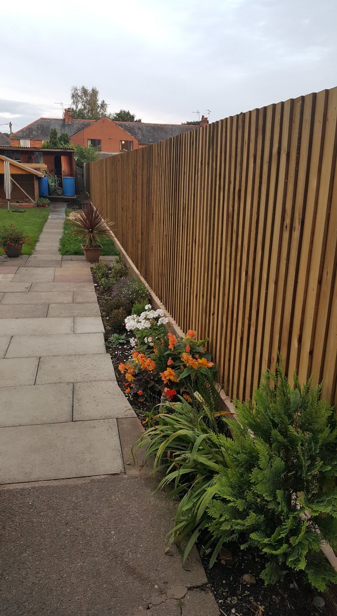 New close-board fence beside a path and flower bed