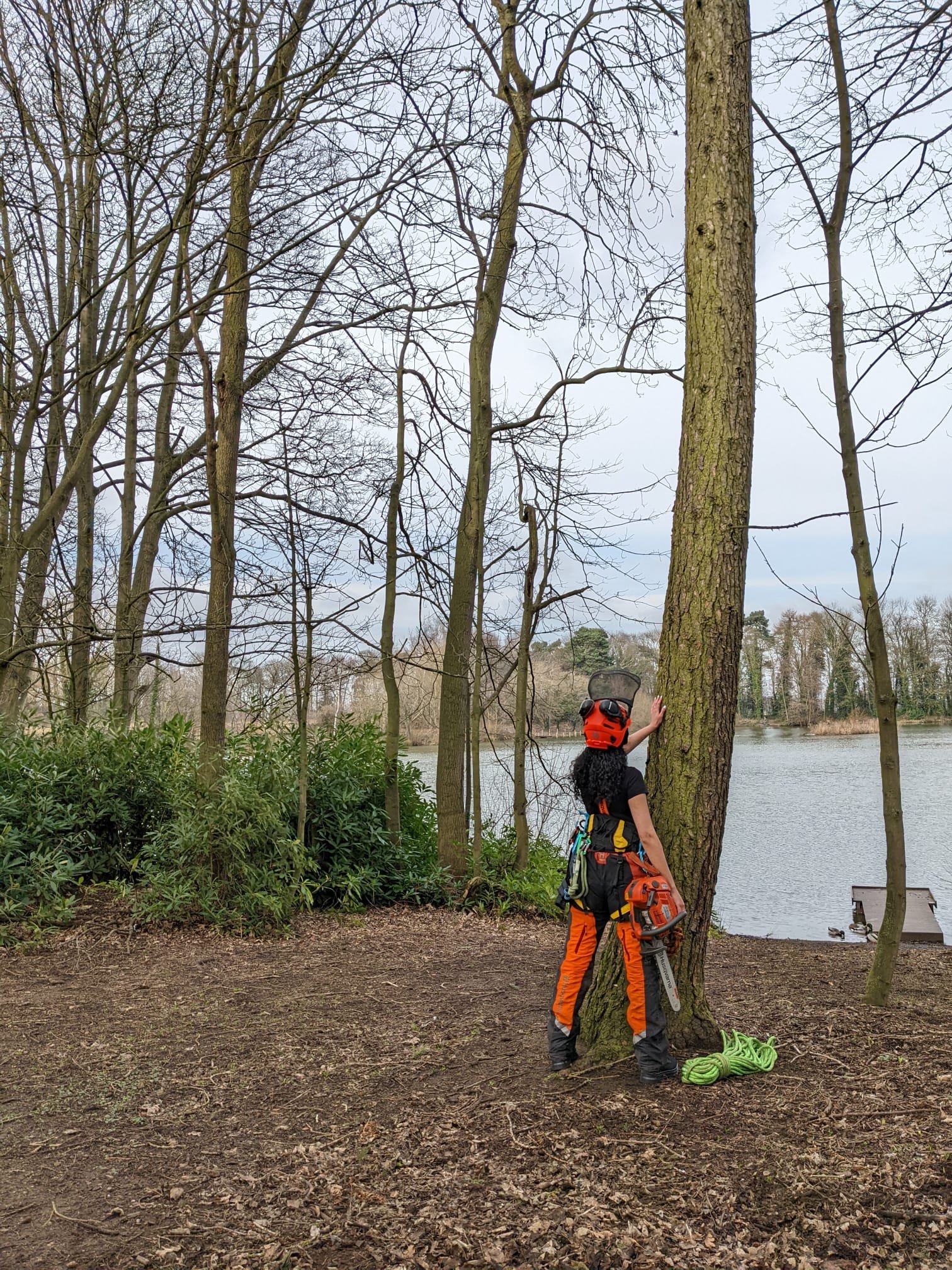 Tree surgeon in orange safety gear among trees beside a lake
